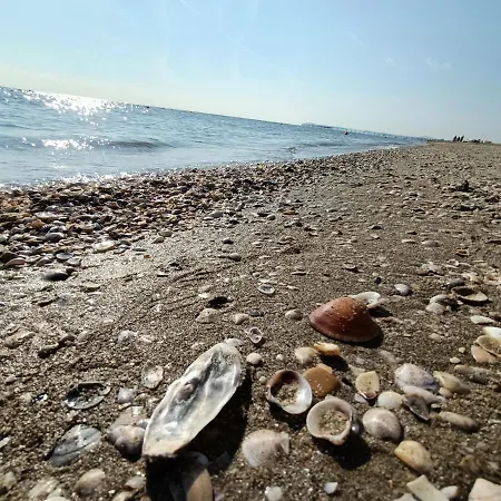 Bed & Book Отель Римини