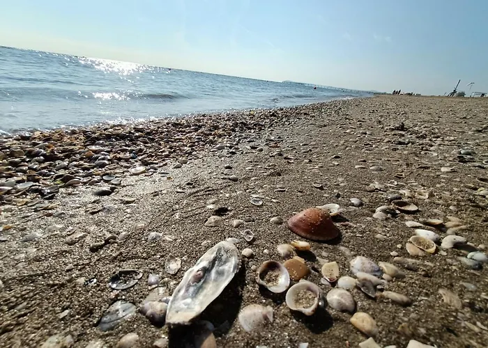 Bed & Book Otel Rimini
