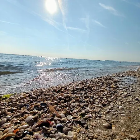 Szálloda Bed & Book